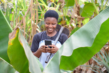 A happy African female farmer, business woman or entrepreneur using a smart phone while on a farm and also have a farming hoe on her shoulder - obrazy, fototapety, plakaty