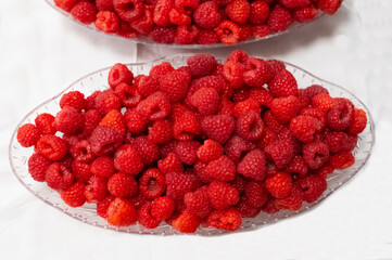 just harvested fresh raspberries