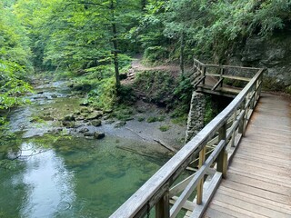 Obraz premium Wooden hiking trails and bridges along the protected landscape of the Kamacnik canyon - Vrbovsko, Croatia (Drvene pješačke staze i mostići duž zaštićenog krajolika kanjona Kamačnik - Gorski kotar)
