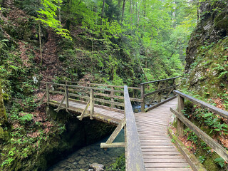 Obraz premium Wooden hiking trails and bridges along the protected landscape of the Kamacnik canyon - Vrbovsko, Croatia (Drvene pješačke staze i mostići duž zaštićenog krajolika kanjona Kamačnik - Gorski kotar)