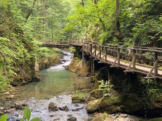 Wooden hiking trails and bridges along the protected landscape of the Kamacnik canyon - Vrbovsko, Croatia (Drvene pješačke staze i mostići duž zaštićenog krajolika kanjona Kamačnik - Gorski kotar)