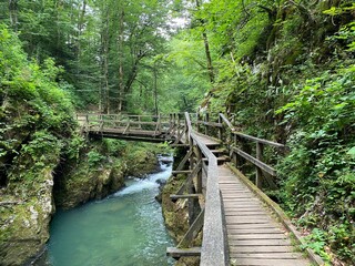 Wooden hiking trails and bridges along the protected landscape of the Kamacnik canyon - Vrbovsko, Croatia (Drvene pješačke staze i mostići duž zaštićenog krajolika kanjona Kamačnik - Gorski kotar)