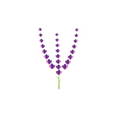 Fresh Lavender flower logo vector flat design