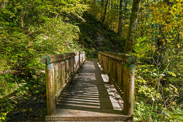The footbridge crossing Hardy Creek on the Hamilton Mountain Trail at Beacon Rock State Park, Washington, USA