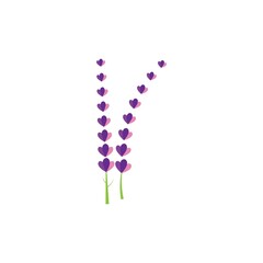 Fresh Lavender flower logo vector flat design