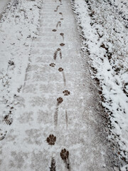 footprint in the snow