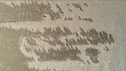 Rice field toppled by wind disaster, aerial photo of rice field texture, North China