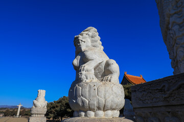 Fototapeta premium Rock lions are carved in the eastern tombs of the Qing Dynasty, China