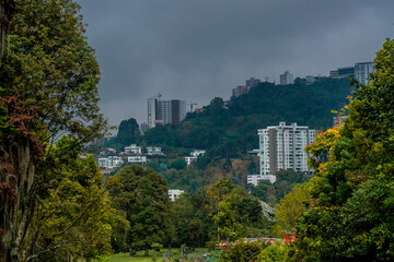 Obraz premium park in the city