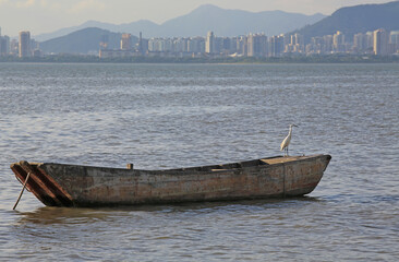 sea view of shenzhen skyline with the boat and mud beach from hong kong view