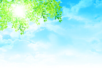 Obraz premium 新緑 葉 風景 背景