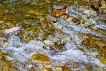 stream in the forest