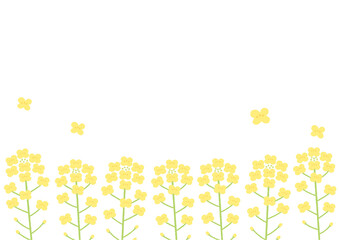 菜の花の背景イラスト