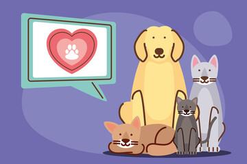 pets animals domestic