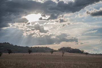 clouds over the field
