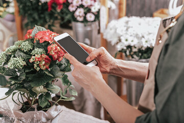 The florist's hands are holding a smartphone. The florist accepts an order using Internet technologies. Workplace of a florist. Small business concept. Flower delivery concept. Side view.
