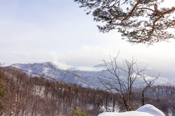 Winter snow-covered forest in the mountains, majestic slopes in snow captivity.