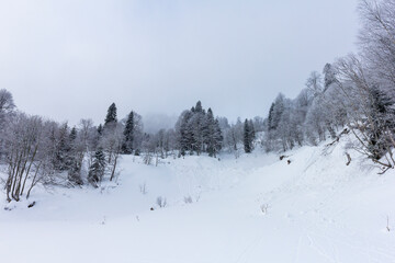 Winter snow-covered forest in the mountains, majestic slopes in snow captivity.