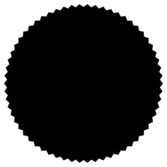 Starburst, sunburst price tag, label with empty, blank space. Price flash button, pin shape