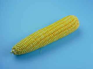 corn on a blue background. healthy vegetable concept