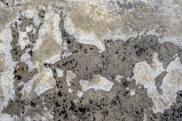 stone wall texture