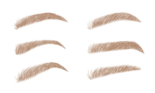 Set of blonde eyebrows in different shapes. Linear vector Illustration in trendy minimalist style. Brow bar logo.