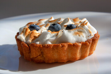 cream cake with berries and cream, side view