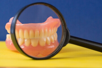 Close-up magnifying glass loupe false teeth. Removable dentures. Dental implantation.. Dental clinic theme. Selective focus