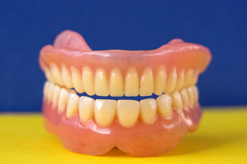 Close-up of false teeth. Removable dentures. Diagnosis of gum disease. Dental clinic concept. Selective focus