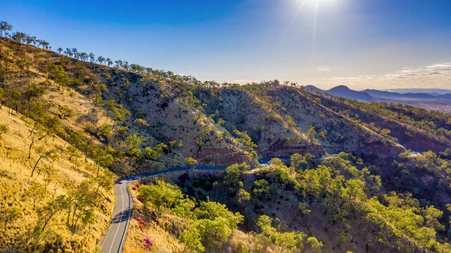 Horizontal photo of winding road in Mount Morgan with a steep road side with wild flowers and plants