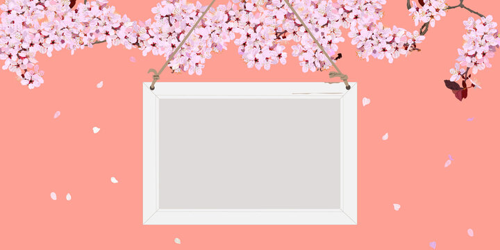 cherry blossom, spring flower, Message board hanging from cherry tree. copy space, vector illustration, web banner, header, sign, poster, flyer, frame, mockup