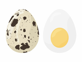 Cartoon quail egg and half of boiled egg isolated on white background. Print, banner, label, poster, sticker.