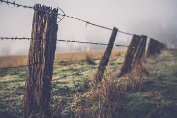 barbed wire fence