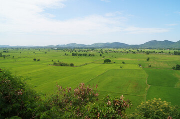 Landscape with green fields, green fields