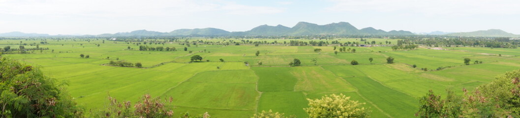 Fototapeta na wymiar Landscape with green fields, green fields