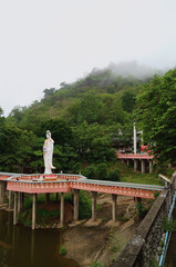Temple in Asia among the forest, statues