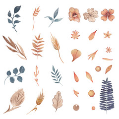 Watercolor flowers and leaves clipart