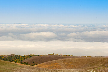 Fields and forests above the clouds