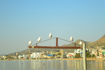 bridge over the bosphorus strait