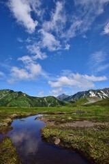 立山連峰　初夏の風景