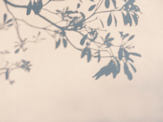 Tree leaves shadow on wall Nature Abstract background
