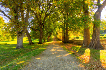 Fototapeta premium Country Road