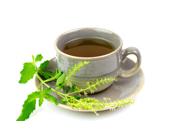 Tulsi or holy basil tea in gray ceramic cup with tulsi leaf and branch isolated on white...