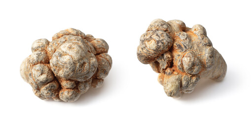 Dried notoginseng isolated on white background