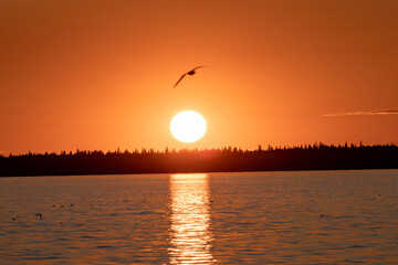 sunset over the sea