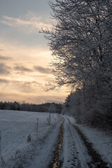 Landschaft im Winter