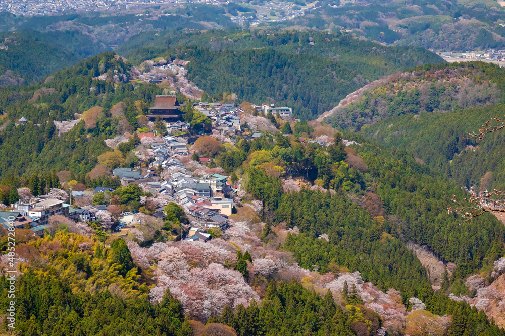 Wall mural 春の奈良県・吉野山で見た、上千本周辺の桜と金峯山寺