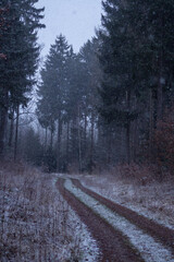 Landschaft im Winter