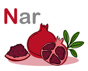 Turkish alphabet depicting a pomegranate fruit. Translation from Turkish: pomegranate. Vector hand drawn illustration