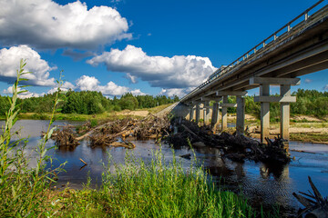 Bridge over river with snags